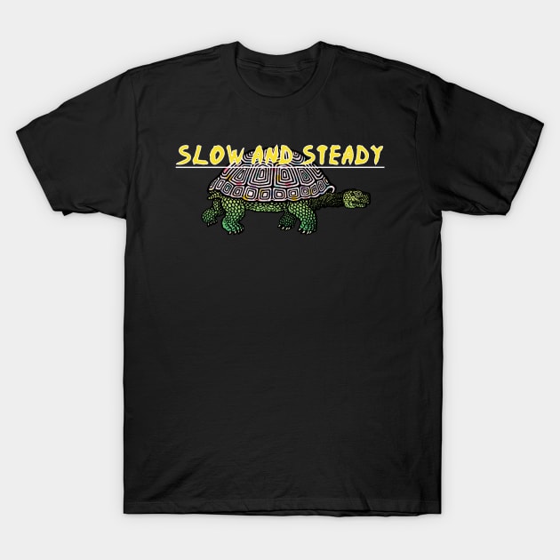 Slow and steady tortoise and the hare pink T-Shirt by Captain-Jackson